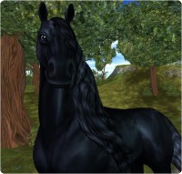/album/star-stable-online99/star-stable-online-friesian-horse-jpg1/